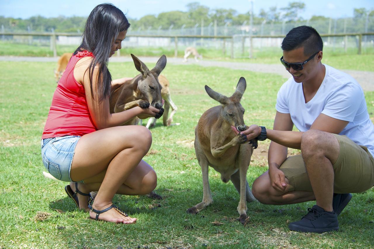 Salamander Beach Accommodation - Adults Only Salamander Bay Bagian luar foto