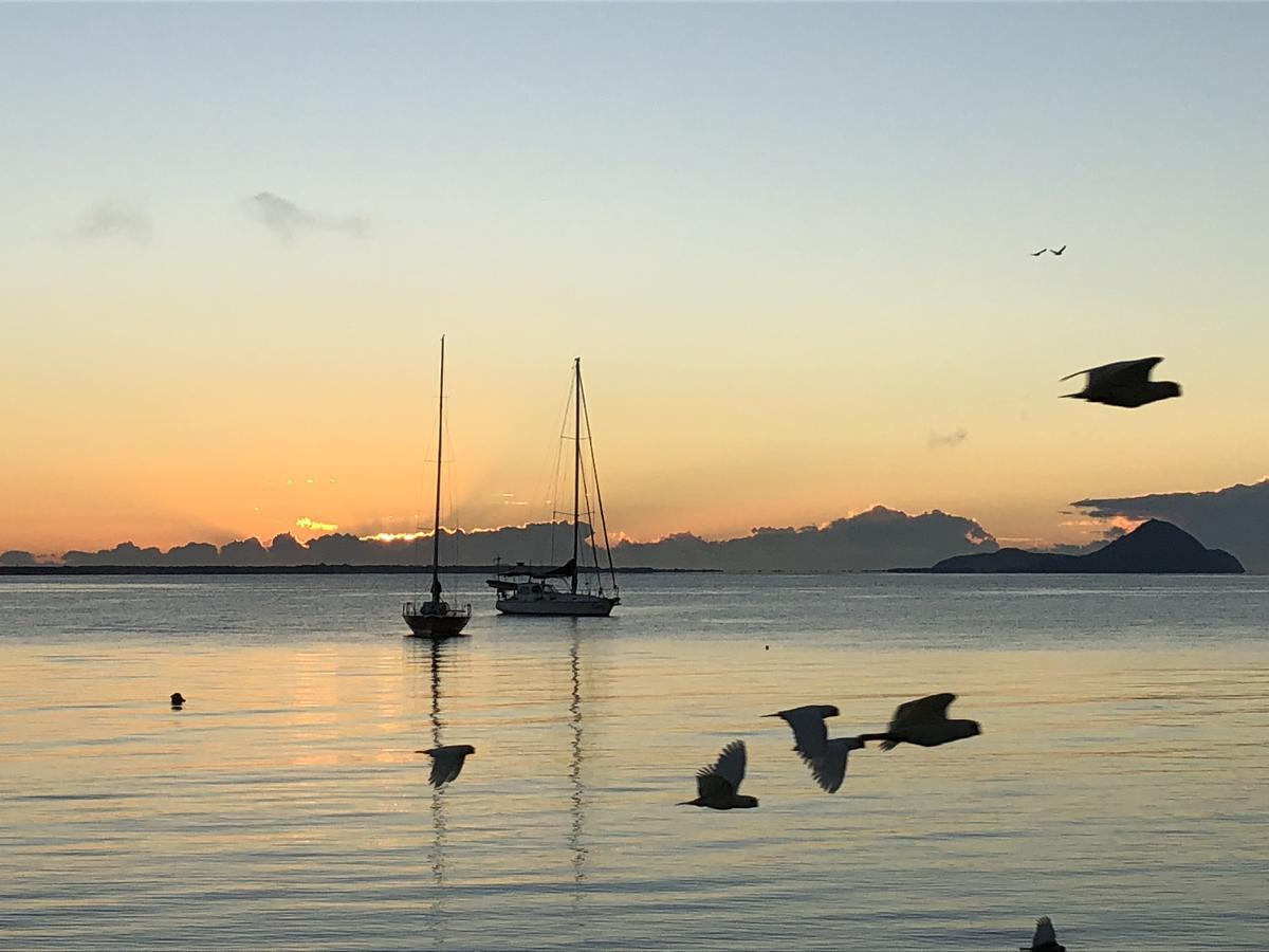 Salamander Beach Accommodation - Adults Only Salamander Bay Bagian luar foto
