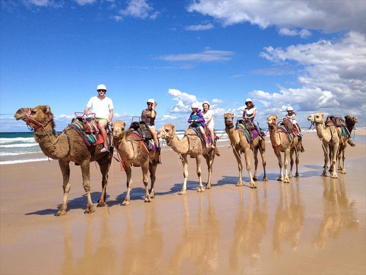 Salamander Beach Accommodation - Adults Only Salamander Bay Bagian luar foto